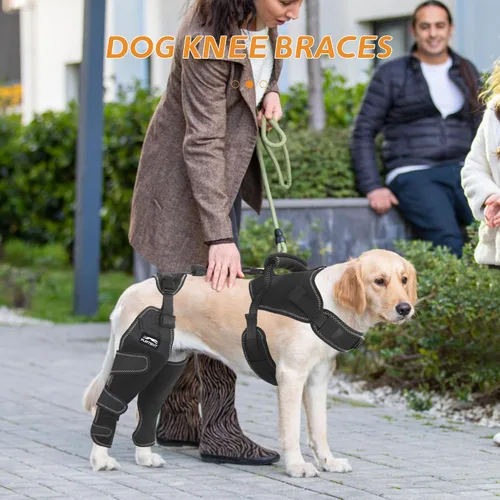 Miniatura 2 de Perro Acl Brace pata trasera – Mantiene las articulaciones calientes y protegidas, piernas y caderas ajustables mejoradas, juego de arnés