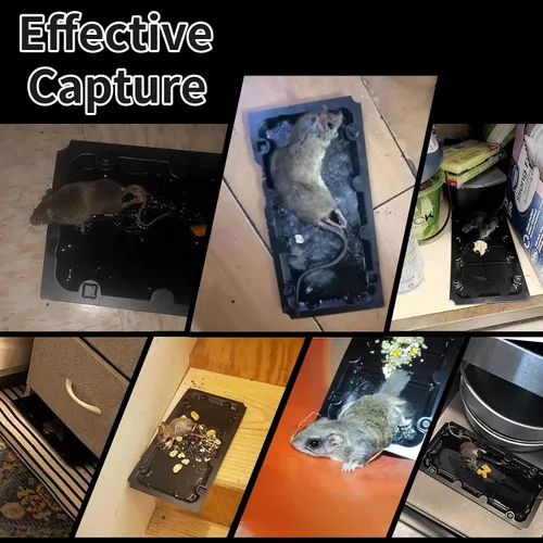 Miniatura 5 de 4 trampas para ratones humanas que no matan, trampas para ratones vivos y paquete de 10 trampas adhesivas para ratones para interiores, trampas