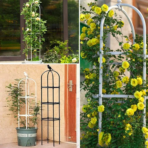Miniatura 4 de Enrejado de jardín para plantas trepadoras, tubo de metal inoxidable con soporte resistente de 6 pies, soporte para plantas en maceta para jardín
