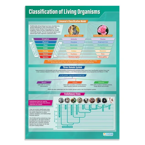 Daydream Education Póster de Clasificación de Organismos Vivos para el aula – Extra Grande 33 x 23.5 pulgadas – Papel brillante – Decoración de
