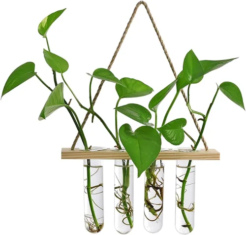Miniatura 2 de Liudan Wall Hanging Planter Glass Terrarium Air Planter Holder Plant Hanger Flower Pot with Frame 4 Tubes for Living Room Indoor Decor Office