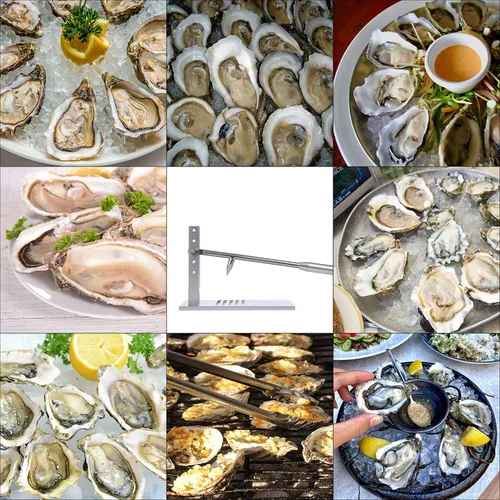Miniatura 4 de Máquina Shucker de ostras, kit de shucking de almejas de ostras