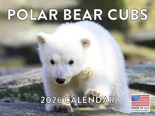 Miniatura 168 de Calendario alpaca 2026, calendario mensual de pared de 12 meses Hecho en Estados Unidos.