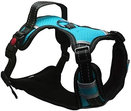 Collar de cinturón ajustable a juego, suministros de entrenamiento reflectante para mascotas, arnés de nailon para perros grandes sin tensión,