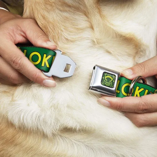 Miniatura 8 de Buckle-Down Collar de perro hebilla kawaii Loki pie pose texto verde amarillo multicolor, 1 pulgada de ancho - se adapta a cuello de 9-15 pulgadas