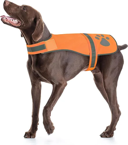 Miniatura 8 de Candofly Chaleco reflectante para perro, chaleco reflectante de alta visibilidad, chaleco ligero de seguridad para mascotas, para caminar por