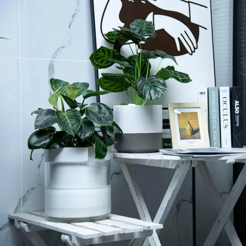 Miniatura 6 de Maceta de 8 pulgadas Phoenix Vine de riego automático, maceta de arcilla de terracota blanca con depósito de vidrio para plantas de interior, Blanco