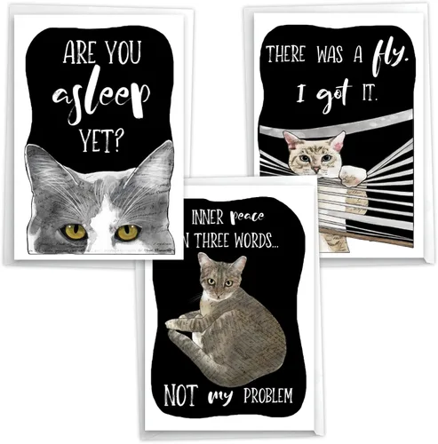 Miniatura 13 de NobleWorks Paquete de 3 divertidas tarjetas de felicitación de cumpleaños con sobres (1 diseño, 3 cada uno) comedero vacío para pájaros C2561BDG-C3x1