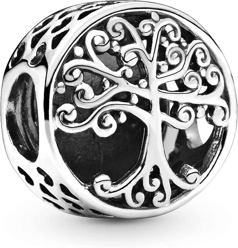 Annmors Family Charm Love your Dad Mon Sister Infinity Charm fits Bracelets 925 Sterling Silver-Lucky Charm for Woman Pendant Bead Jewelry Beads