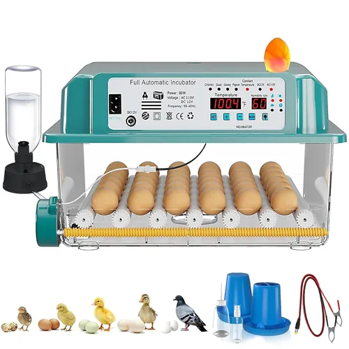 CoInceptus 36 incubadoras de huevos para incubar huevos, incubadora de huevos con 4 modos de incubación automática, incubadora de pollo con pantalla