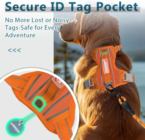 Miniatura 2 de BARKBAY Arnés para perro sin tirones con bolsillo para etiqueta de identificación, resistente, reflectante, de fácil control para perros grandes