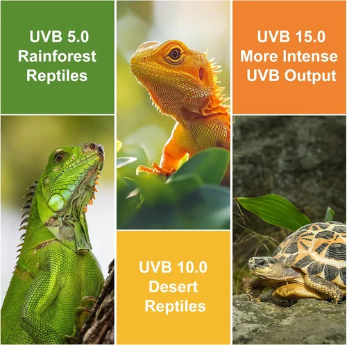 Miniatura 6 de Luz UVB para reptiles, 5.0 15W UVA UVB luz para reptiles, bombilla fluorescente compacta UVB para camaleones, tortuga, iguanas y serpientes