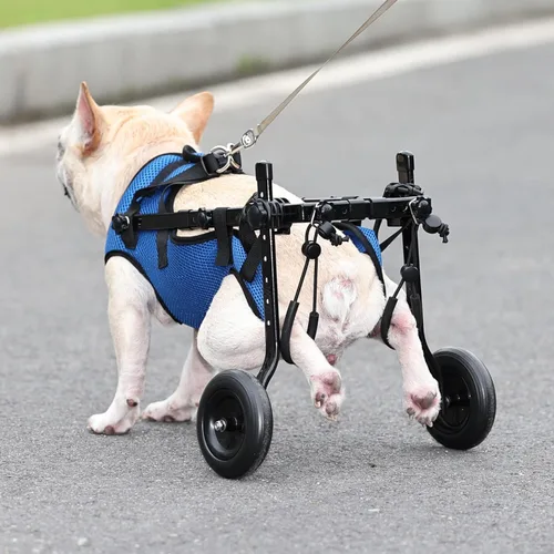 Miniatura 4 de Silla de ruedas ajustable para perros pequeños - Ayuda de movilidad para mascotas discapacitadas, Silla de ruedas para perros pequeños para patas