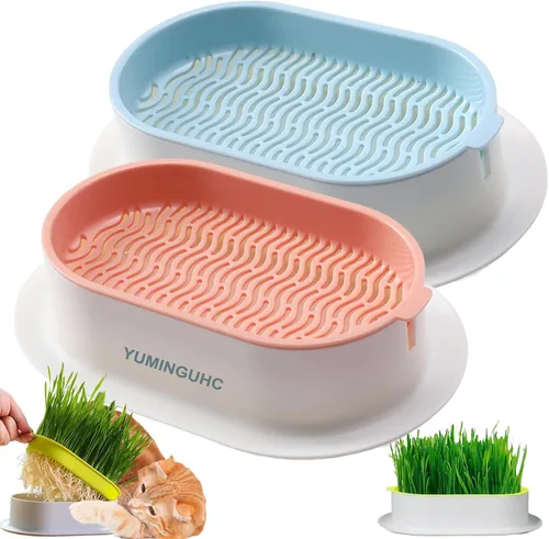 2 Macetas de Hierba para Gatos (Sin Semillas Incluidas) Bandejas de Plantación de Pasto de Trigo Kits de Cultivo de Hierba para Gatos Hidropónico