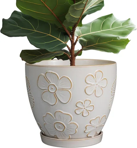 Miniatura 9 de MPotTo Maceta de 6.9 pulgadas con orificio de drenaje y platillo de cerámica para plantas de interior, maceta para orquídeas y suculentas