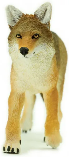 Miniatura 5 de Safari Ltd. Figura de juguete Coyote – Figura detallada de plástico de 6.5 pulgadas – Divertido juguete educativo para niños, niñas y niños a partir