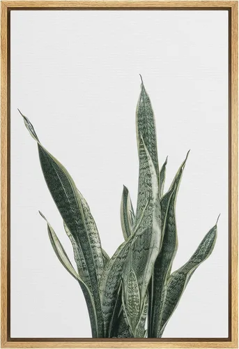 Miniatura 20 de SIGNWIN Lienzo enmarcado para pared, diseño de planta de bosque de montaña verde pastel, naturaleza, ilustraciones de área silvestre, arte moderno