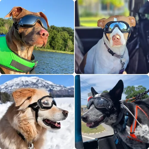 Miniatura 2 de Gafas de sol para perros de razas grandes, juego de 2 piezas de protección UV negra y transparente, resistente al viento para perros medianos a