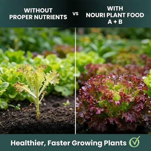 Miniatura 5 de Nouri Fertilizante líquido hidropónico para plantas de nutrientes A y B, sistema de cultivo hidropónico, accesorio para plantas