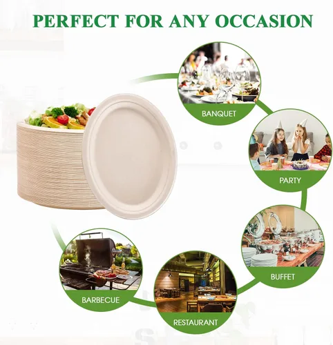 Miniatura 6 de Vplus Platos de papel ovalados 100% compostables 10 pulgadas 125 unidades Platos de papel desechables súper resistentes de bagazo natural 10