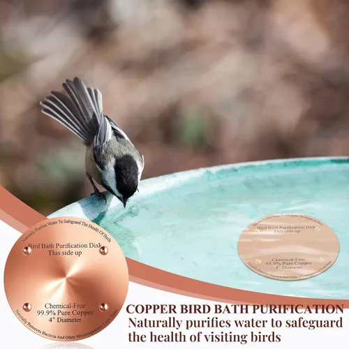 Miniatura 5 de MorningRo 4 discos de cobre para baño de pájaros de 4 pulgadas, 0.024 in de grosor, reforzado con 99.99% de cobre puro, disco de purificación