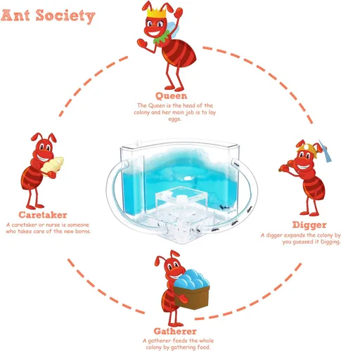Miniatura 9 de NAVADEAL Ant Farm Castle 2.0 con tubo de conexión, kit de aprendizaje científico de hábitat de hormigas, el mejor juguete educativo STEM 2021