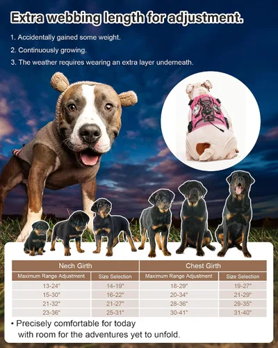 Miniatura 5 de PETNANNY Arnés táctico para perros