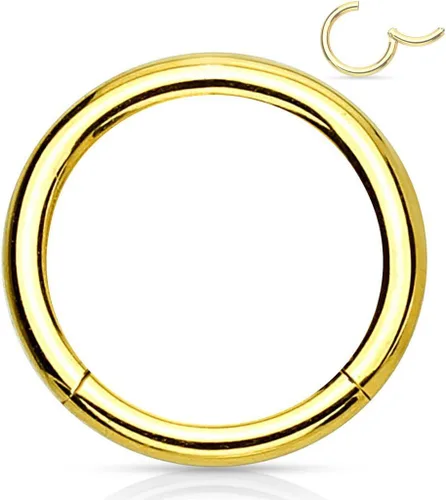Miniatura 35 de Forbidden Body Jewelry - Piercing para la nariz de acero quirúrgico 316L con bisagra, 14G, 16G, 18G, diámetro de 15/64, 5/16, 25/64, 15/32 pulgadas