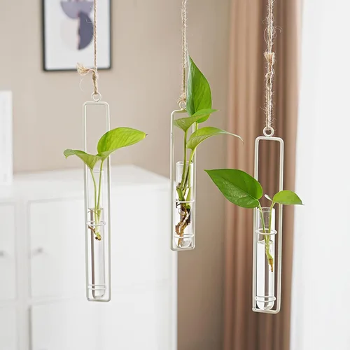 Miniatura 7 de Maceta hidropónica de vidrio colgante, 3 piezas, tubo de ensayo transparente, florero, contenedor de terrario para interiores y exteriores