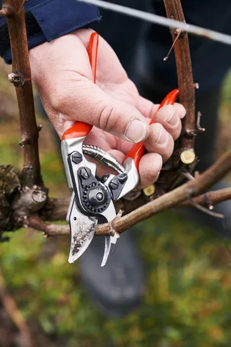 Miniatura 3 de Felco F 14 Tijeras de podar – Cortadoras de jardín de 7.1 pulgadas para manos pequeñas con hojas bypass y yunque Podadoras de mano para jardinería