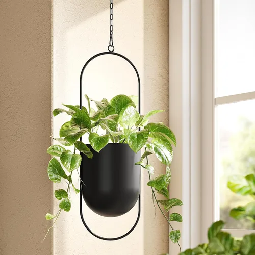 Miniatura 9 de Bamworld Black Hanging Planters for Indoor Outdoor Plants Metal Hanging Pots for Plants 5 Inch Modern Hanging Basket Window Plant Hanger Ceiling