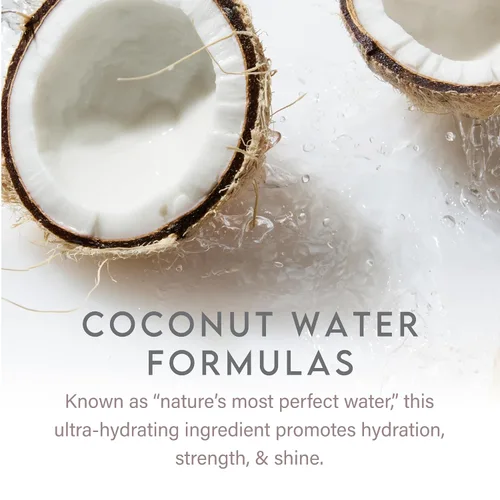 Miniatura 6 de ALURAM Acondicionador diario de agua de coco para hombres y mujeres, hidratación limpia y brillo para todo tipo de cabello, 12 onzas líquidas