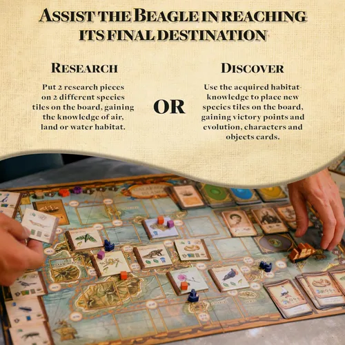 Miniatura 6 de Sobre el origen de las especies Un juego de mesa de investigación evolutiva de Artana Games El viaje de Charles Darwin a través de las Galápagos