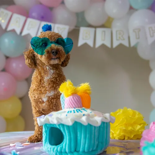 Miniatura 7 de Outward Hound Hide A Birthday Cake, rompecabezas de peluche con temática de cumpleaños para perros