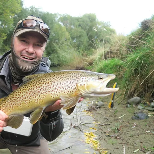 Miniatura 2 de 10 señuelos de pesca biónicos suaves, cebos de pesca artificiales, señuelos realistas suaves, accesorios para amantes de la pesca al aire libre, 5