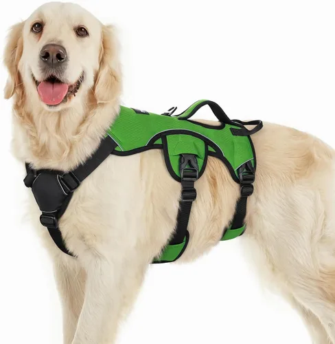 Miniatura 42 de rabbitgoo - Arnés para perro a prueba de fugas, arnés para mascotas acolchado suave de cuerpo completo, chaleco reflectante ajustable sin tirones
