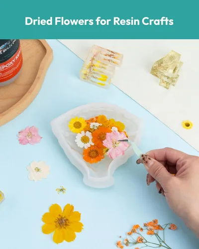 Miniatura 6 de Flores Secas, Resiners 100 Piezas de Flores Prensadas para Manualidades Amarillas Flores Secas Naturales Reales Kit de Hojas Secas para Hacer