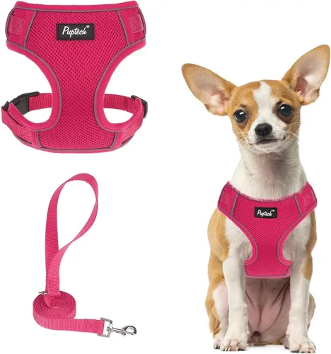 Miniatura 48 de PUPTECK Juego de arnés y correa para perro pequeño, arnés ajustable sin tirones para cachorro, chaleco de malla suave reflectante para mascotas