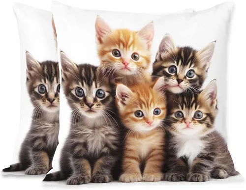 Juego de 2 fundas de almohada cuadradas decorativas para sofá y cama, para hombres y mujeres, 18 x 18 pulgadas, diseño de gatitos lindos color negro