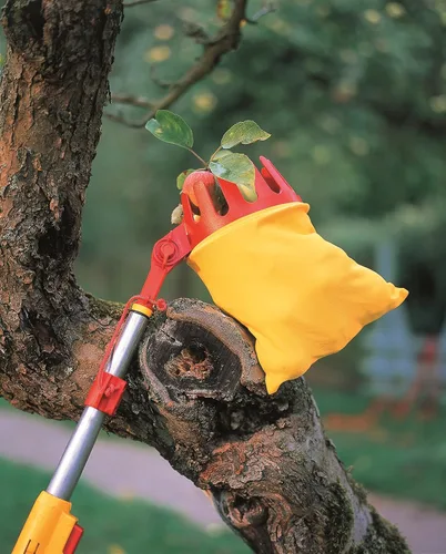 Miniatura 2 de WOLF-Garten RGM Multi-Change - Cabezal de herramienta ajustable para el cuidado de árboles, color rojo