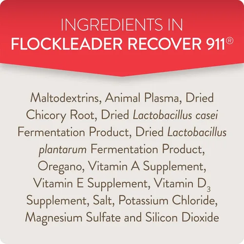Miniatura 6 de FlockLeader Recover 911, Suplemento de Agua Probiótico para Estrés Severo para Pollos con Electrolitos, Prebióticos y Orégano, para la Muda, Clima