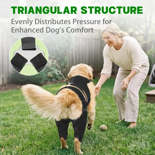 Miniatura 5 de Rodillera para perro para pierna trasera desgarrada, ajustable para pierna trasera con 6 estabilizadores, reduce el dolor, lesiones de ligamentos