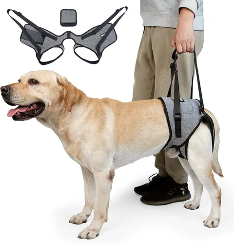 Arnés de elevación Cneo para perros, cabestrillo para perros medianos y grandes, arnés ajustable para perros para patas traseras, arnés para
