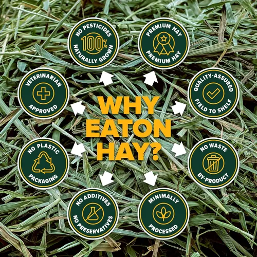 Eaton Pet and Pasture Cultivado de forma natural, mezcla de primer corte, mezcla de huerto de heno Western Timothy, alimento para animales pequeños,