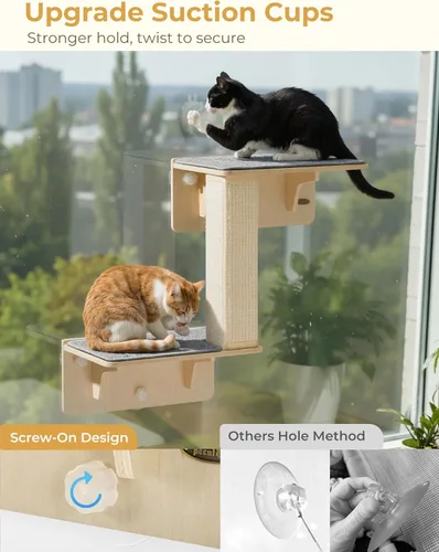 Miniatura 8 de Pecute Estantes dobles para gatos con poste rascador para pared y ventana con madera maciza, ventosa fuerte, alfombrilla de cubierta lavable, cama