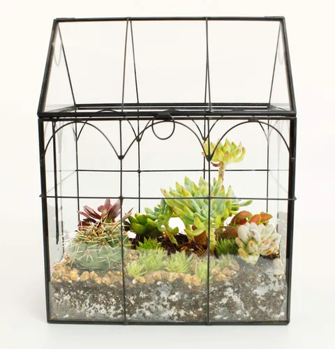 Miniatura 8 de ELEGANTLIFE Terrario geométrico de cristal para plantas suculentas, maceta de aire para decoración del hogar, jardín, oficina (casa negra)