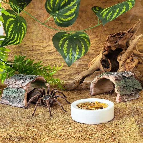 Miniatura 4 de Paquete de 2 adornos de tronco de árbol hueco de resina de tronco de betta, escondite de acuario, cueva de reptil, tarántula, decoración de tanque