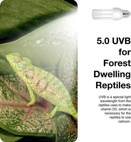 Miniatura 3 de MRREPTILE Luz de reptil UVB, 13 W 5.0 UVB para reptiles, luz de reptiles UVA UVB, lámpara UVB para reptiles tropicales, serpiente camaleón, lagarto