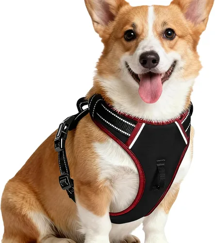 Miniatura 56 de Arnés para perro sin tirones, chaleco reflectante ajustable y acolchado para mascotas con asa de fácil control, fácil de llevar con nudo elegante
