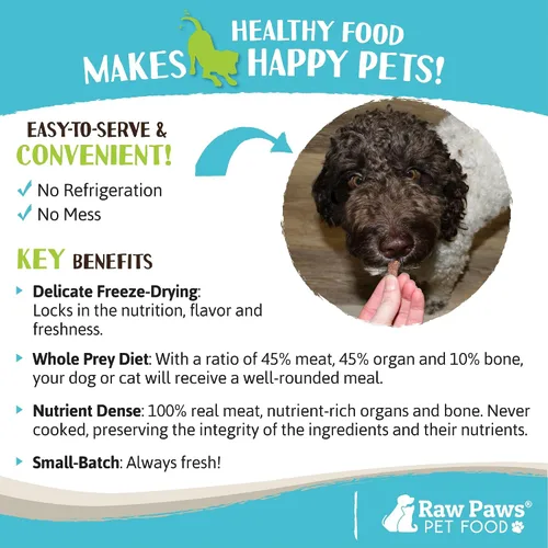 Miniatura 5 de Raw Paws Alimento liofilizado para perros y gatos, receta de carne de res, 16 onzas, fabricado en Estados Unidos, alimento para perros liofilizado